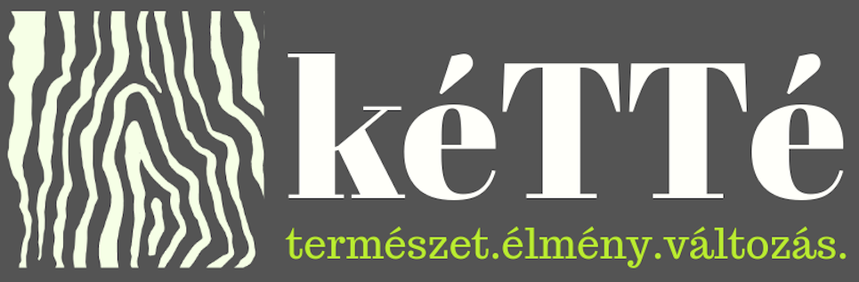 Tapasztalati Tanulás Alapítvány